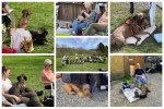 Die Hunde fanden es nicht ganz so spannend :-) Die Hunde fanden es nicht ganz so spannend :-)